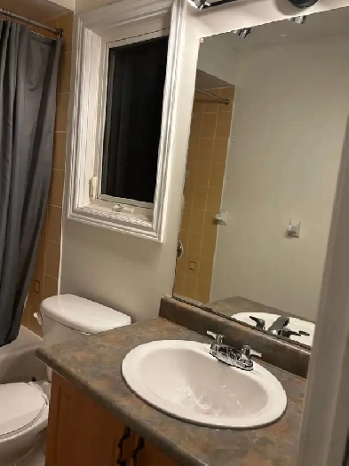 3 bedroom basement for rent Image# 6