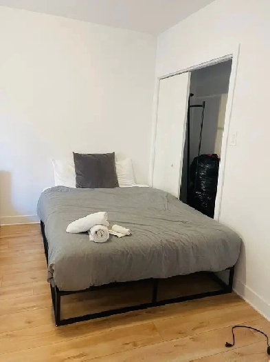 Furnished Room – Ville-Marie, Montreal – UQAM – $850$850$850 Image# 8