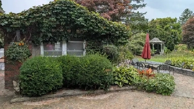 TINY HOUSE, 1-bedroom apartment Image# 1