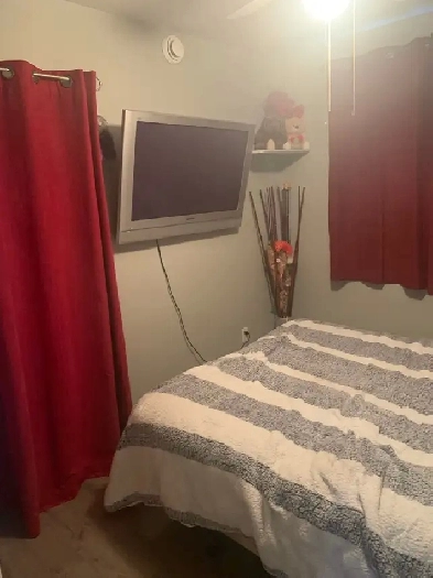 Chambre à louer Image# 3