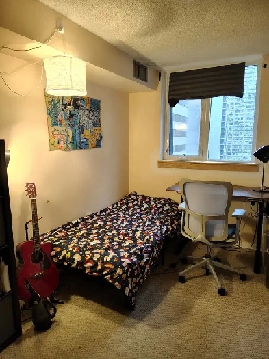 Single Bedroom For Rent Next To UofT in 3 Bedroom Condo Image# 9