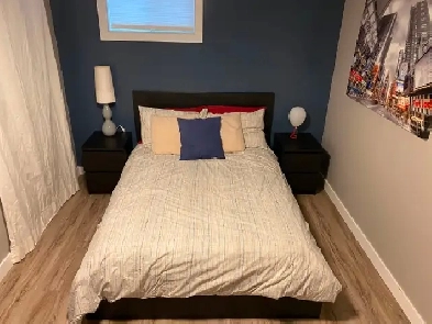 Spacious and Cozy Basement Suite for Rent in Dovercourt! Image# 2