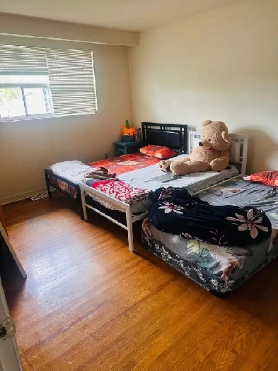 Room rent Image# 1