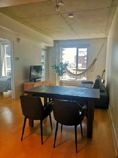 1 Room 1 Bath apartment with nice View in Griffintown Image# 2