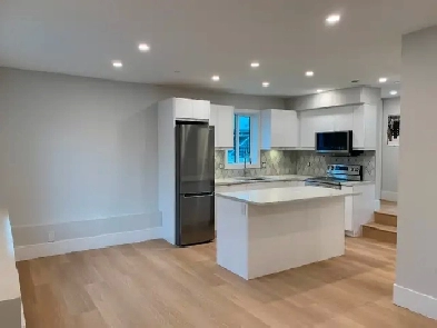 Beautiful Laneway Home for Rent! Image# 2