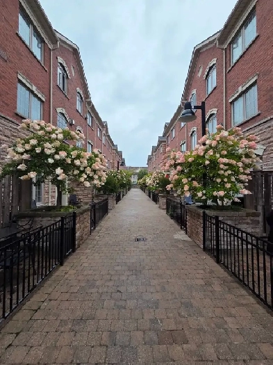 Entire 3rd floor of townhouse for rent (2-bedroom 1-bathroom) Image# 2