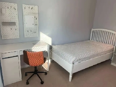 MALE STUDENT BEDROOM FOR RENT IN GUELPH Image# 1