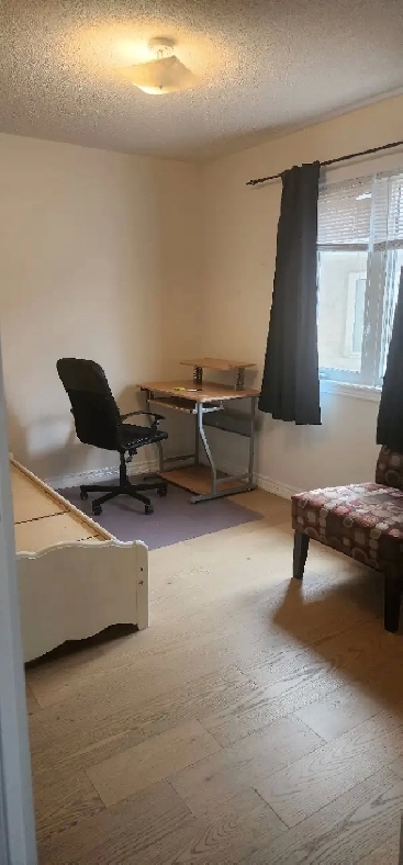 Room for rent in Brampton near Castlemore and Gore - Female only Image# 1