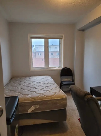 Room For Rent in York University Village Image# 5