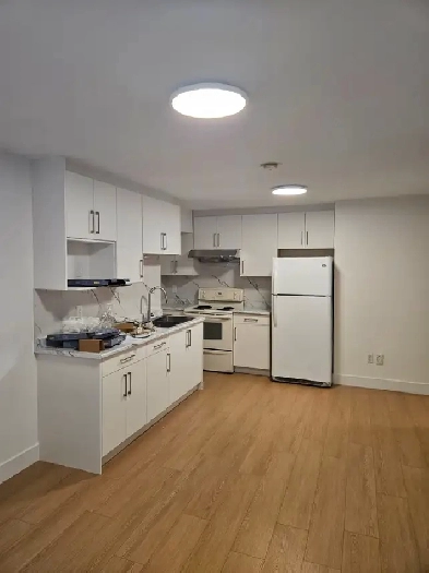 2 bedroom basement suite for rent Image# 4