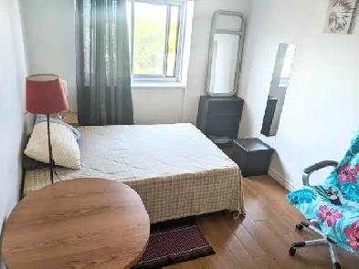 Room near Downtown (for Cat-loving Female) Image# 5