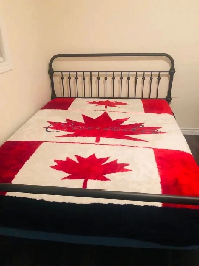 looking for roommate  (girl) Woodstock, ON Image# 3