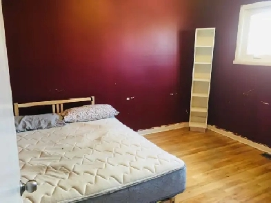 Room for $ 725: near Algonquin college  and baseline transit stn Image# 4