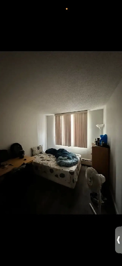Private room for rent in Core downtown Image# 3