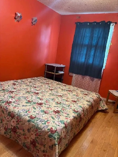 Room for Couples or Girls Brampton Image# 7
