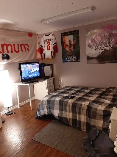 Rooms near McMaster University for rents Image# 1
