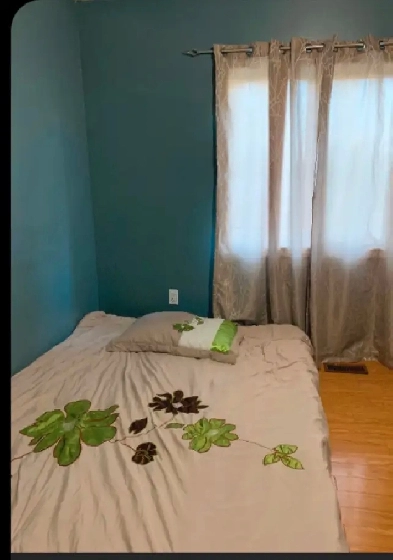 Private spacious bedroom available September 1 Image# 7