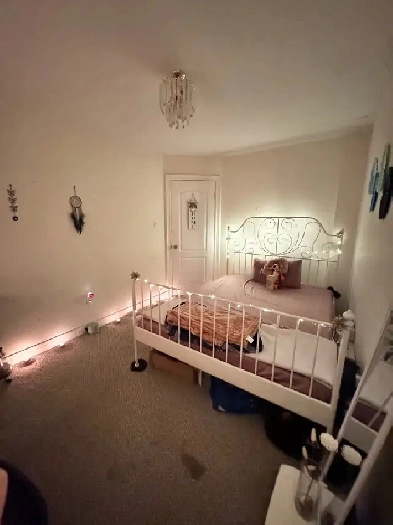 PRIVATE ROOM IN YORK UNIVERSITY AVAILABLE ASAP Image# 4