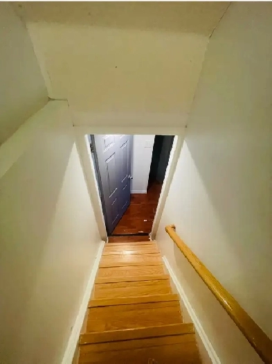 basement for rent with 2 car parkings Image# 1