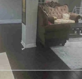 room for Rent Image# 1