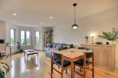 Appartement 4 1/2 dans Villeray Image# 1