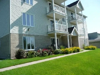 Magnifique appartement à louer Image# 5