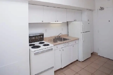 10th floor 231 square foot studio near McGill - ID 4099 Image# 7
