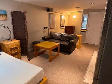 Tastefully Furnished Studio/bachelor, minutes from College Squar Image# 3