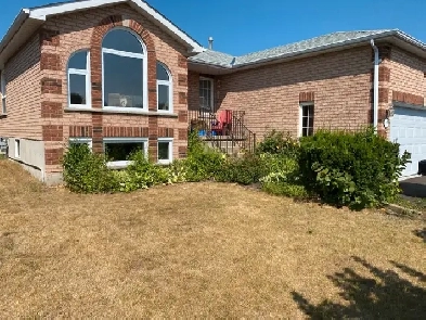 large bright 1 bedroom apartment Image# 1