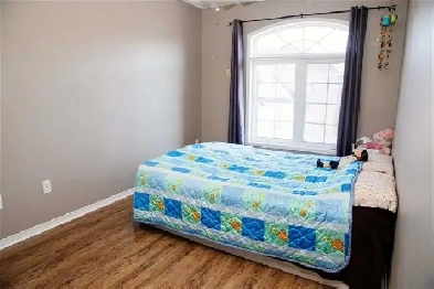Shared room for rent close to Sheridan and Bus Terminal - Female Image# 1