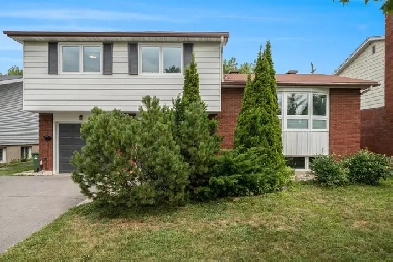 FOR SALE - Fully Renovated Split Level in Alta Vista Image# 4