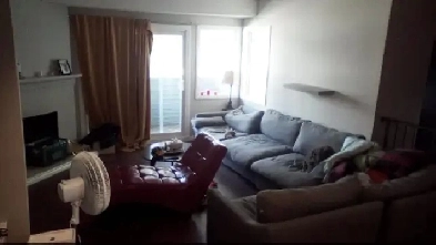 Roommate Wanted XL Room Available must be Pet Friendly $1000 Image# 1