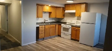 Bright 2 Bed Basement suite in Erin Woods - 1st month 1/2 off! Image# 1