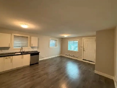 Langley 1 bedroom basement suite - all utilities included Image# 5