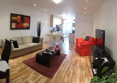 Appartement rénové près de l’Hôpital Notre-Dame et universités Image# 3
