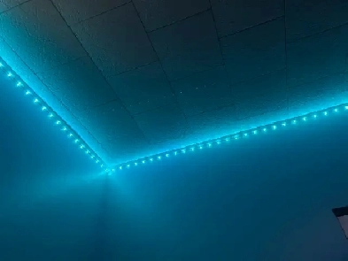 1 Bed in 2 Bed Apt | Modern, Clean, Move-in Oct 1 Image# 1