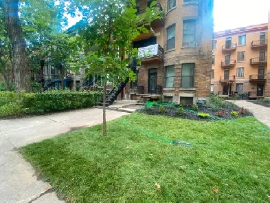 Studio 1 Bath Apartment on Parc Lafontaine Image# 1