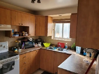 Appartement 2 1/2 Image# 2