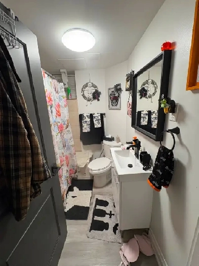 Looking for a female room mate Image# 2