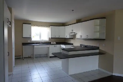 1590 De Lery  Secteur Tranquille avec foyer Disponible 1 Octobre Image# 1