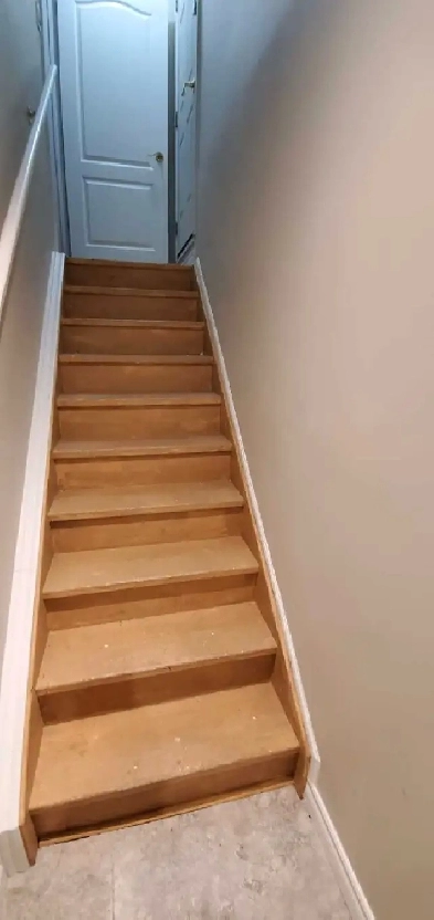 Basement unit for rent Image# 1