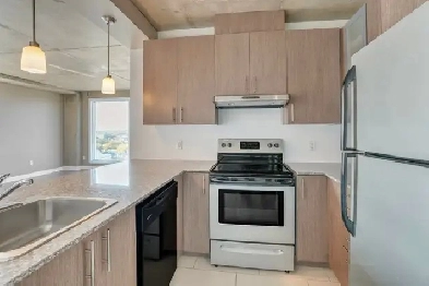 250-260-270 Maisonneuve - 260-901 Apartment for Rent Image# 3
