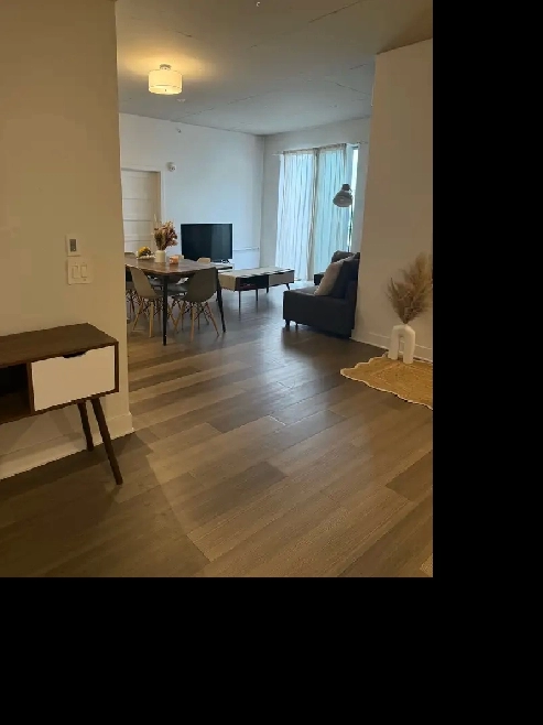 Promos pour 2 mois !  Condo 3 1/2 Image# 6