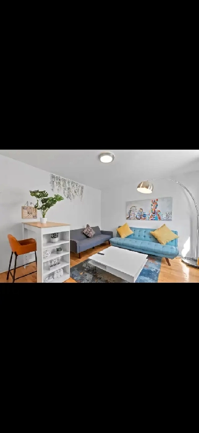 1 month free 3 bdrs furnished next to Metro Lionel-Groulx DT Image# 8