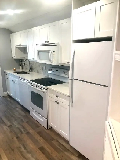 2BR RENOVATED APARTMENT IN PRESTON (CAMBRIDGE) Image# 10