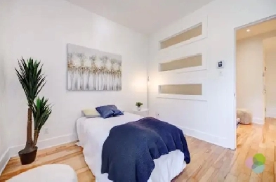 Room in 2bdr condo, Plateau, furnished, all included Image# 1