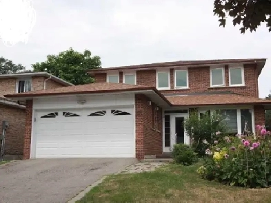 Fully Renovated 2-Bedroom Basement Apartment in Thornhill Image# 7