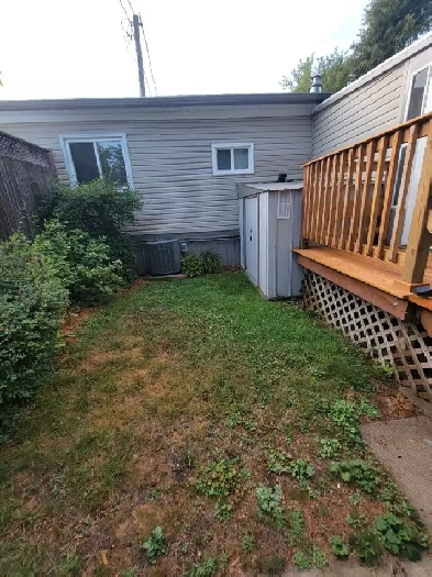 Roommate Wanted Image# 1