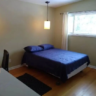 Sept-Merivale/Hunt Club-Rm w/Bath-20m/Algonq-60m/Carleton-VIDEO Image# 3