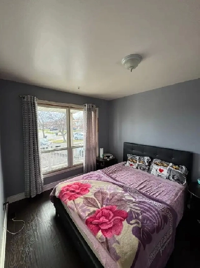 4 bedroom 1.5 bathroom for rent Image# 4